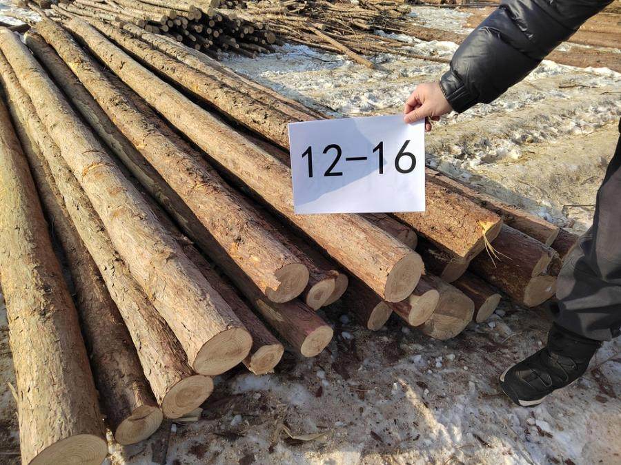 12月30日哈尔滨苇河林场落叶松木材（第二批3标段）网络拍卖公告