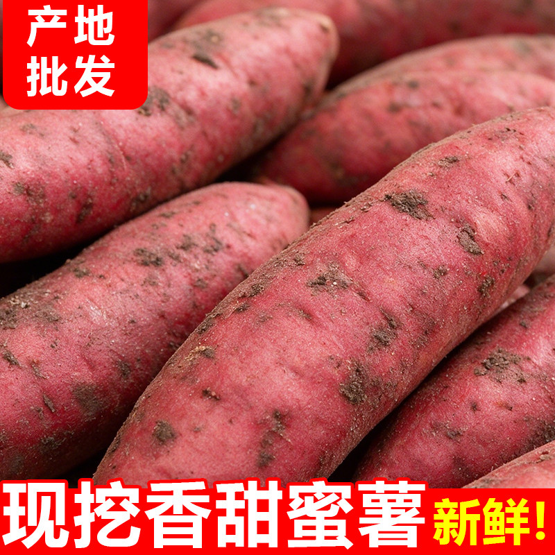正宗沙地蜜薯新鲜糖心板栗番薯六鳌沙地红薯地瓜蔬菜农家自种10