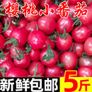 包邮 整箱爆汁西红柿生吃 圣女果千禧小番茄自然熟新鲜水果当季