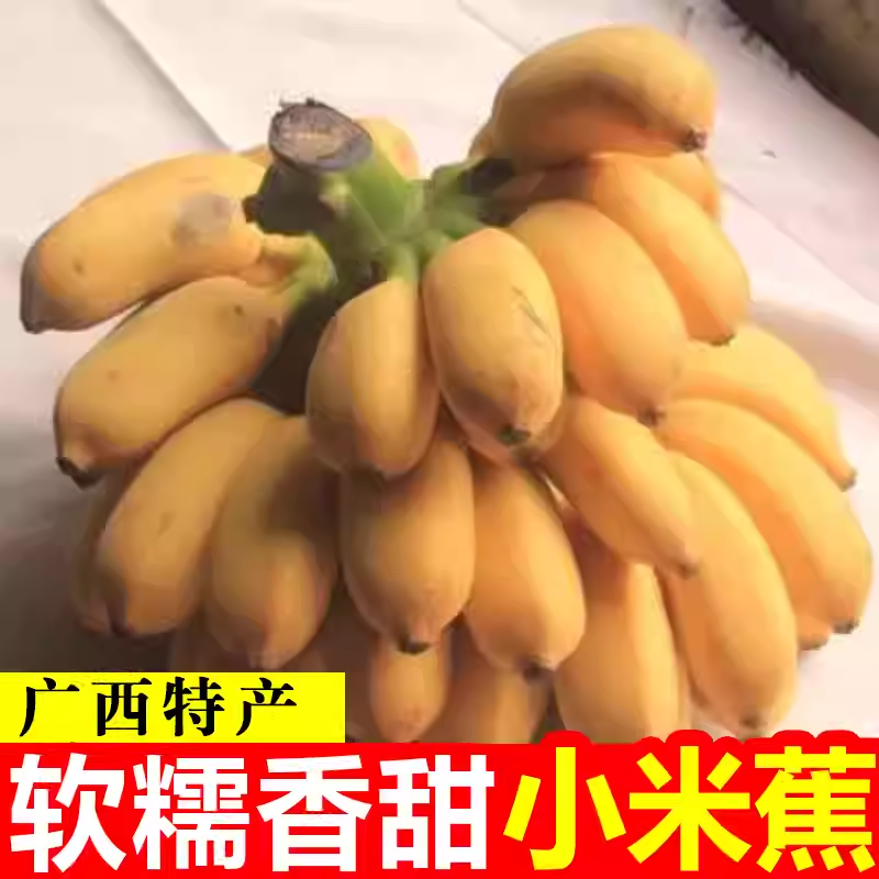 广西小米蕉新鲜5斤整箱皇帝粉蕉
