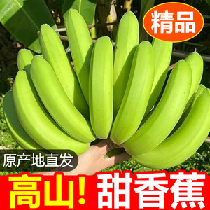 高山甜香蕉5斤9斤新鲜水果当季现摘大芭蕉小米蕉甜香蕉整箱自然熟