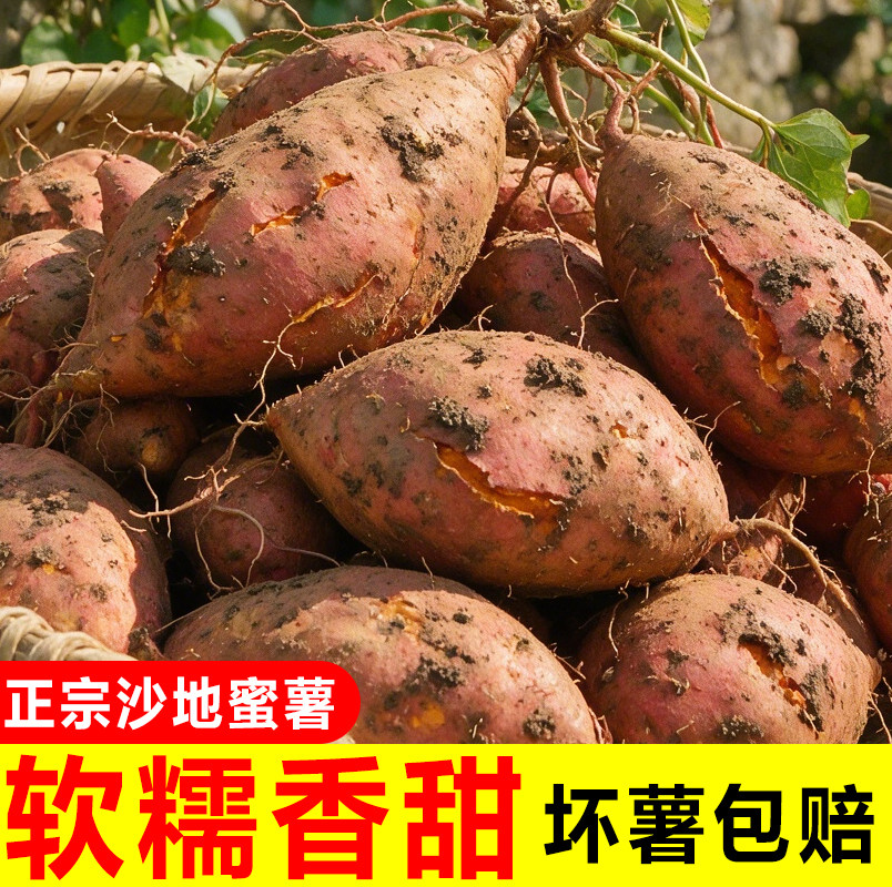 蜜薯新鲜红薯9斤农家香甜薯板栗黄红心烤地瓜糖心小番薯山芋包邮