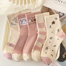 袜子女中筒袜韩版 高帮长筒袜女士袜 学生可爱卡通泰迪熊袜秋冬冬季