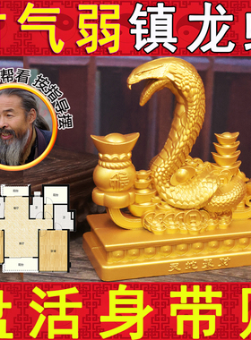 灵蛇聚宝眼镜蛇招财如意蛇