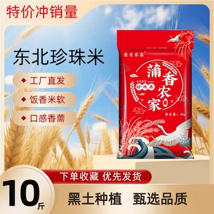 2025年新米特价东北大米10斤五常大米5kg珍珠米长粒香大米