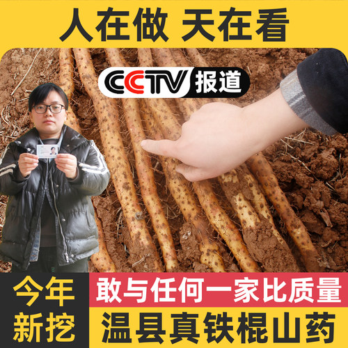 正宗河南焦作温县垆土铁棍怀山药