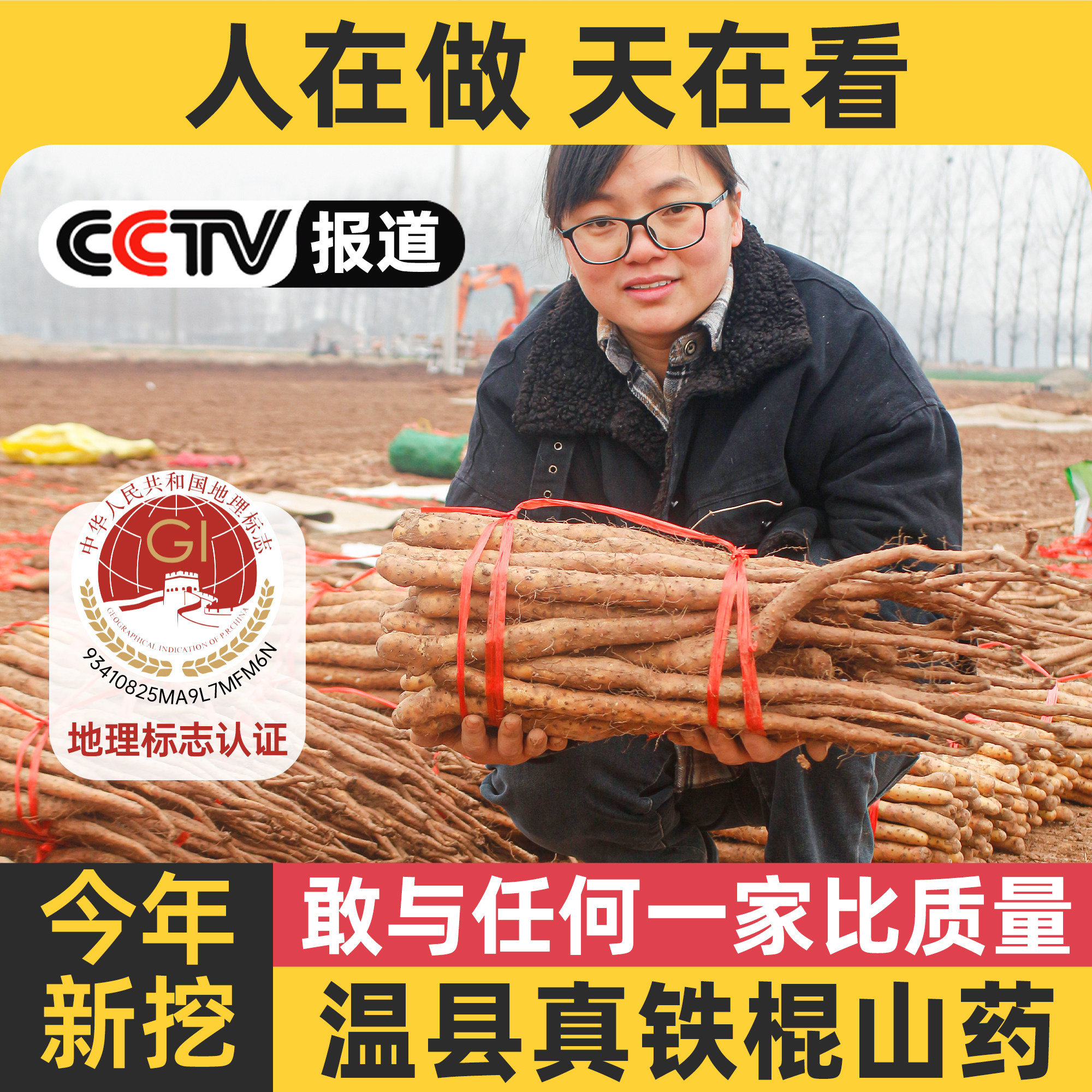 正宗河南焦作温县怀山药新鲜5斤垆土铁棍山药官方旗舰店铁杆淮山