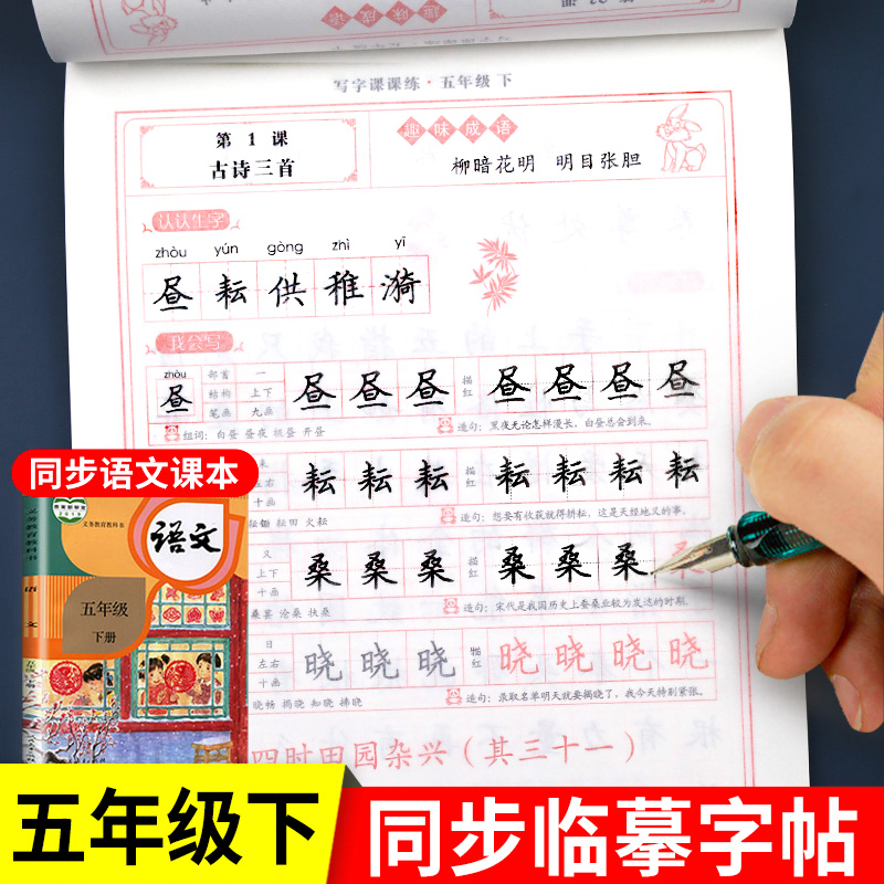 五年级下册上册练字字帖语文人教版同步练字帖练字本人教版部编版