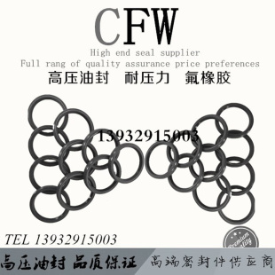 进口耐高压41 9.3油泵油封液压马达密封圈密封件 60.5