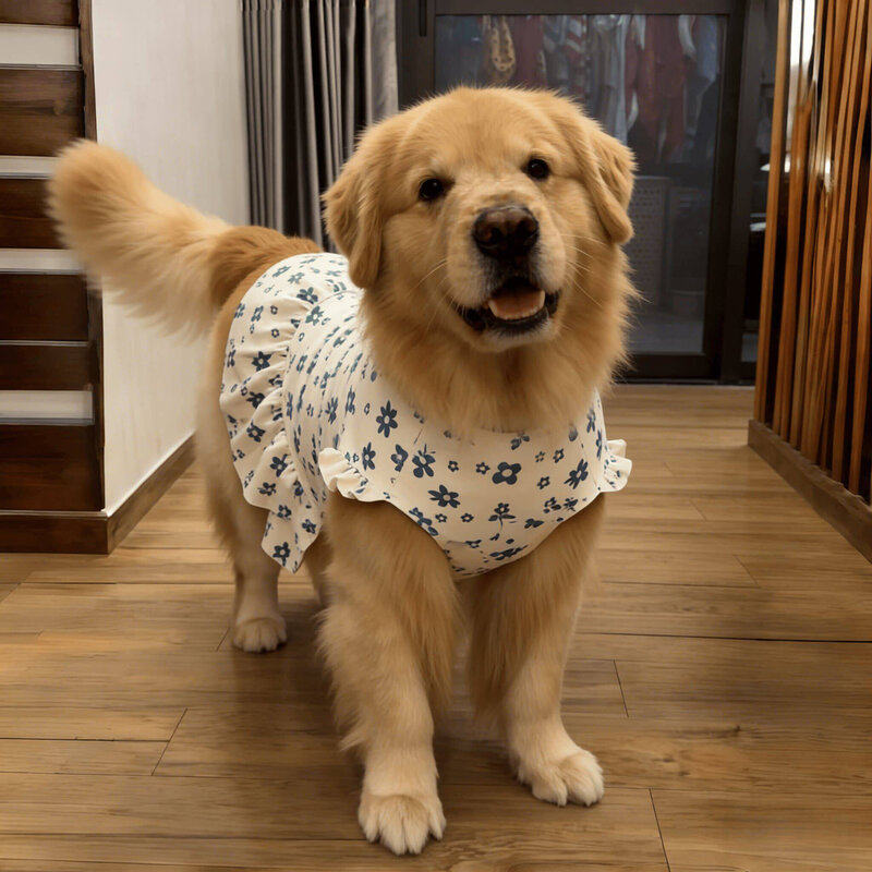 狗狗衣服连衣裙中大型犬金毛萨摩耶防掉毛免着凉空调服家居服睡衣