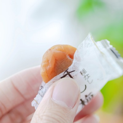 苏式原味话梅小包装诏安青梅果脯