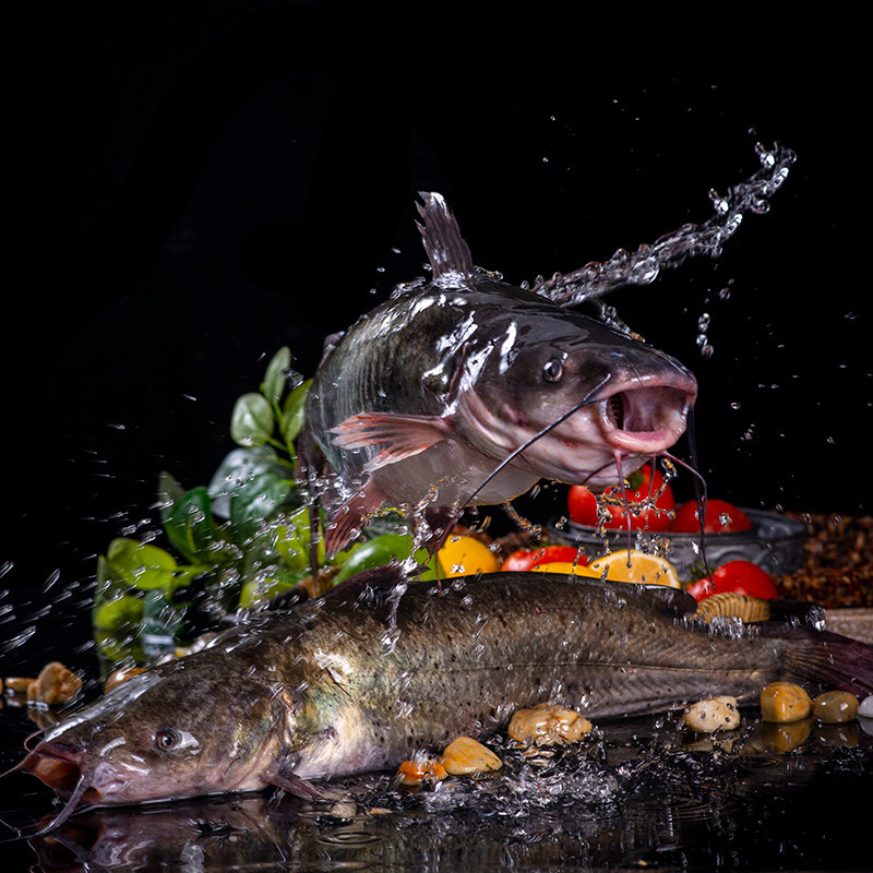 开背调味腌制黑鮰鱼900-1100g新鲜冷冻水产鮰鱼烤鱼商用半成品