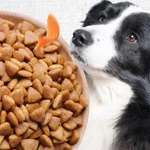 宠立乐狗粮通用型40斤特价实惠大型犬小型犬成犬幼犬专用狗粮10斤