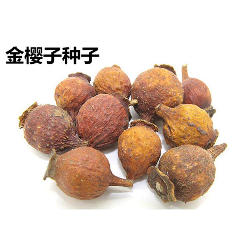 材种子金樱子种子文光果、刺槟榔果、木梨子、糖梨、缫丝花