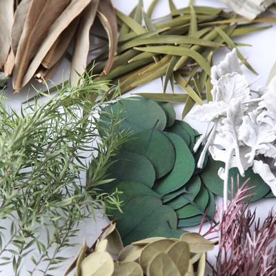 【叶材干花】天然植物标本相框浮游瓶 diy干花肌理画干花材料包