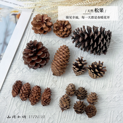 多种松果大小松果装饰手工制作松果松球圣诞松果拍摄道具diy材料