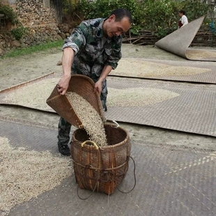 薏仁米 新货正宗老品种浦城蒲城糯苡仁小薏米 芡实 山药 2斤 茯苓