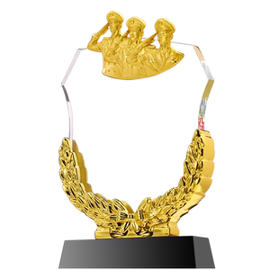 退伍水晶奖杯定制纪念品八一荣誉表彰留念摆件退役老兵送战友军人