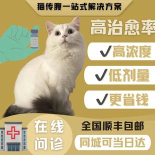 猫传腹干性湿性消腹水fipv抑制剂胶囊营养液腹水口服水剂油剂