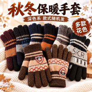A1.99-D秋冬季手套韩系双层保暖毛线针织骑行手套通用分指防1008