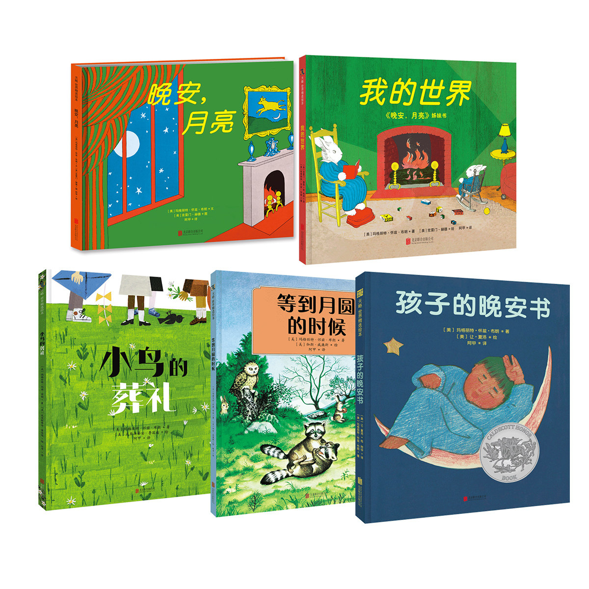走进孩子的世界（全5册）小鸟的葬礼+晚安月亮+我的世界+孩子的晚安书+等到月圆的时候儿童绘本