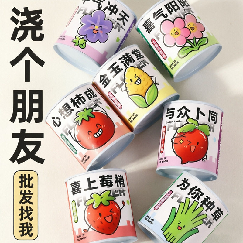 儿童礼物种植小盆栽小学