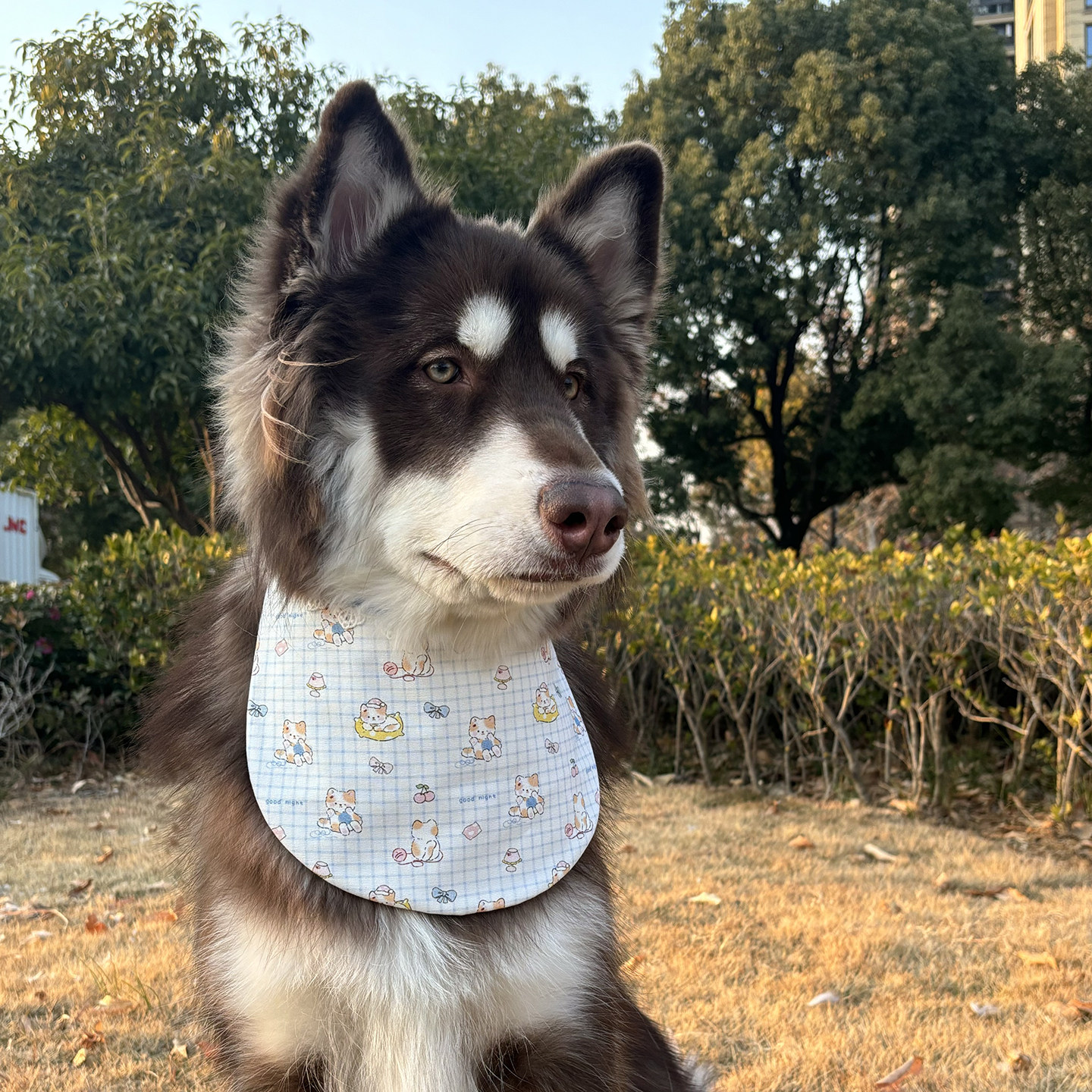 宠物狗狗口水巾围兜大中小型犬吸水夏季双面使用可爱金毛边牧礼物