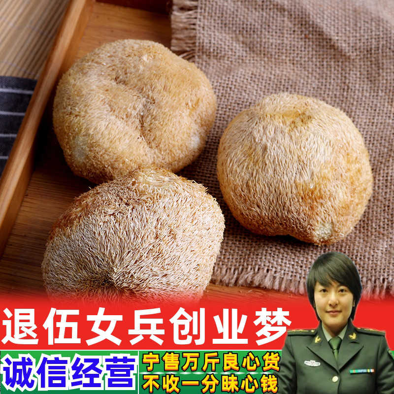 猴头菇新鲜干货 猴头菇粉 养胃粉药用食用中药材特级山猴头菌蘑菇