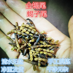 全蝎尾中药材蝎子尾实拍全虫正品特级蝎子粉包邮足干无盐清水磨粉