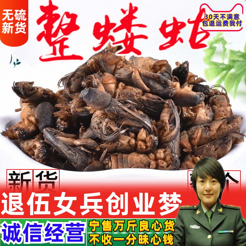 蝼蛄干蝼蛄100克野蝲蝲土狗子蝲蝲蛄无碎新货另有皇虫五谷虫