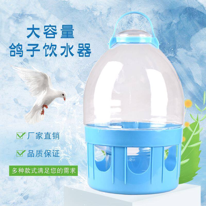 鸽子饮水器信鸽用品水壶鸽用自动喂水器鸽具