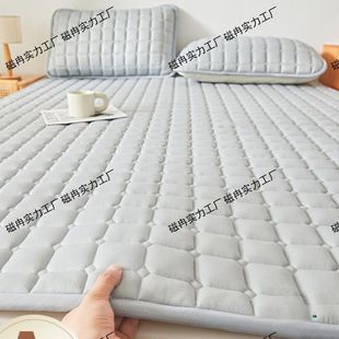 床垫软垫家用卧室保暖垫被褥子防滑床护垫床单人床盖炕单铺底秋冬