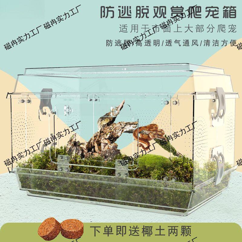 养蛇箱爬虫箱爬宠生态缸乌龟蝎子守宫蜥蜴角蛙造景压克力笼子