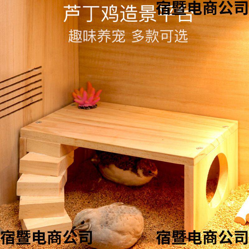 芦丁鸡喂食台楼梯饲养箱装饰用品置物架实木桌子小鸡卢丁造景平台