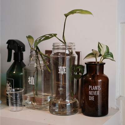 B5301植物主题花瓶花盆装饰防水装饰转印贴纸