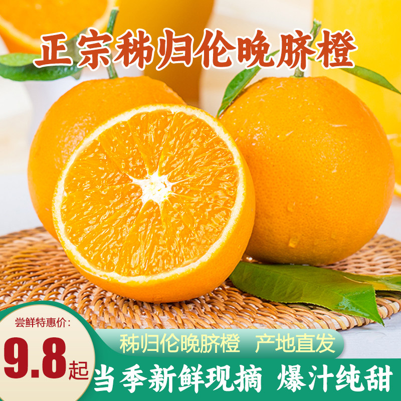 湖北宜昌秭归伦晚脐橙10斤装大果纽荷尔橙子新鲜当季水果柑橘整箱