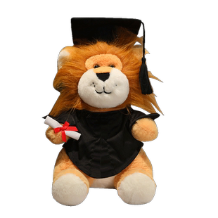 毕业纪念礼物博士硕士研究生毕业礼品硕士袍拍照工学医学毕业季