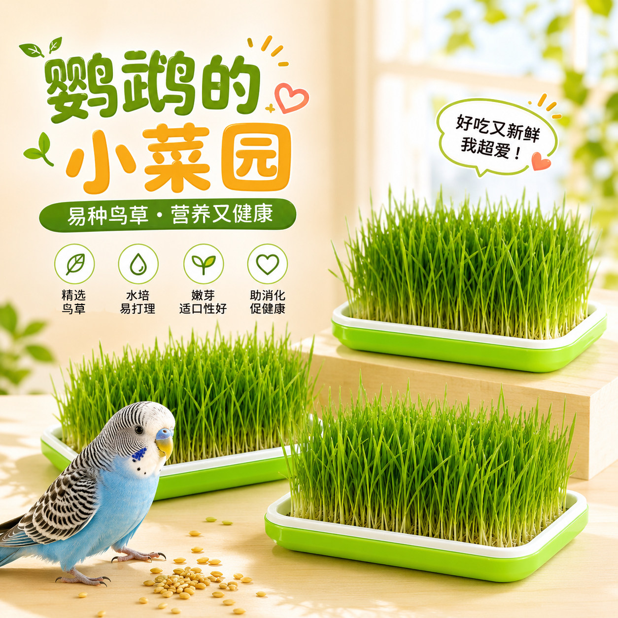 鹦鹉草小麦种子啃咬饲料鸟草盒玄凤虎皮零食促进消化解闷防啄毛
