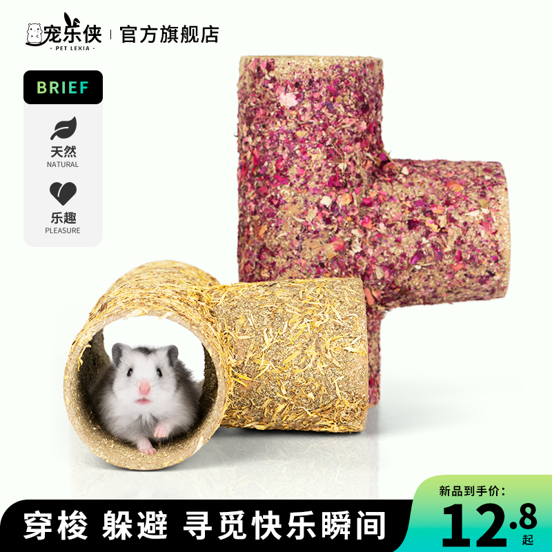 宠乐侠管道穿梭躲避寻觅快乐