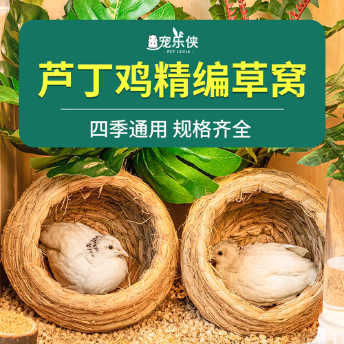 宠乐侠芦丁鸡专用草窝鹦鹉