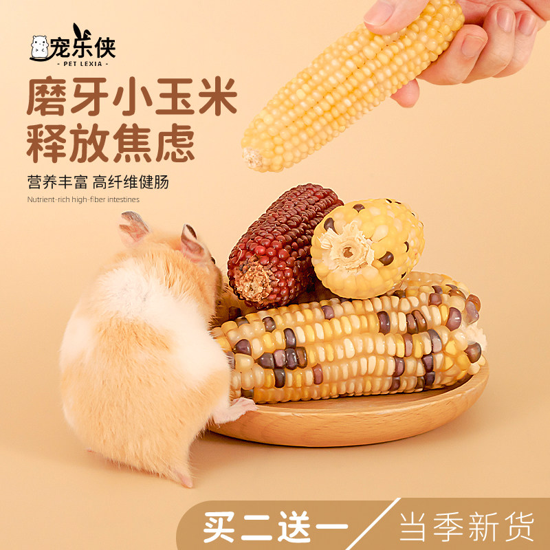 仓鼠磨牙棒零食小玉米芯棒粮食营养金丝熊兔子用品5-10cm迷你