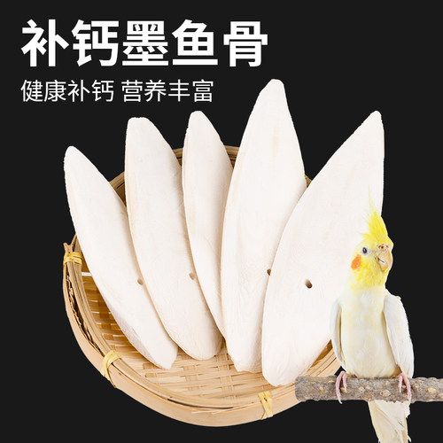 墨鱼骨海螵蛸鸟用品鹦鹉磨牙补钙