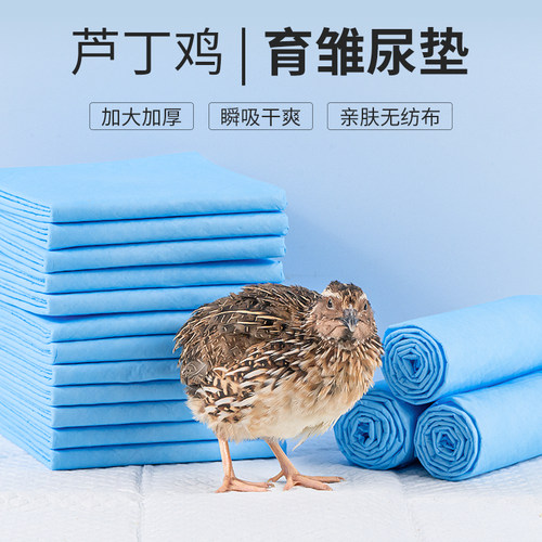 尿片芦丁鸡尿垫一次性鹌鹑尿不湿