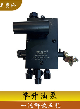解放举升泵五孔拉线驾驶室翻转举升顶液压升降油泵5001150-DP190