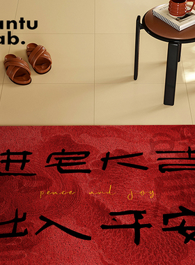 高级感入户门地垫红色丝圈进门脚垫玄关防滑耐磨耐脏除尘蹭土家用