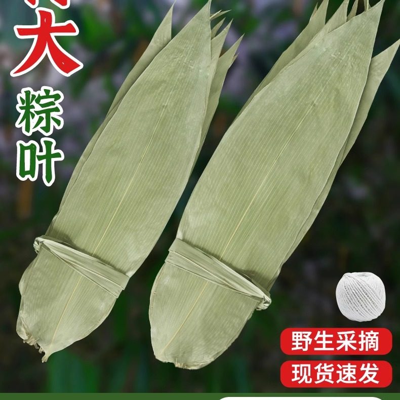 粽叶免邮新鲜大号棕叶干包粽子的叶子天然野生竹叶粽绳箬叶粽子叶