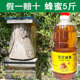洋槐花农家大桶商用 装 5斤土蜂蜜百花山花天然蜜源壶装 官方纯正品