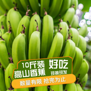云南高山香蕉青皮甜糯香蕉9斤banana新鲜现摘水果不打药整箱香蕉5