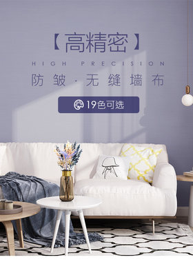 昕璧辉全屋简约包施工高精密墙布