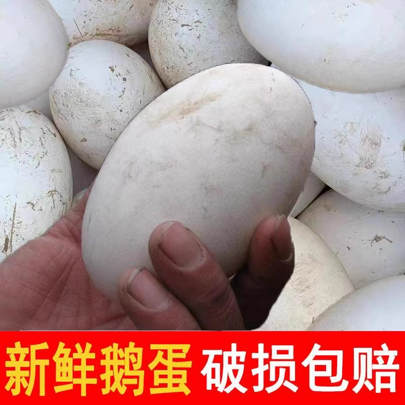 12枚特大生鹅蛋120-140克双黄蛋正宗土鹅蛋农家散养新鲜孕妇精品